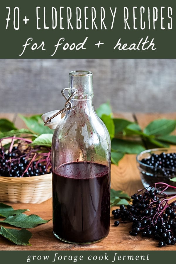 a bottle of elderberry syrup on a table