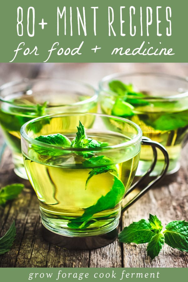 fresh mint tea in a glass mug