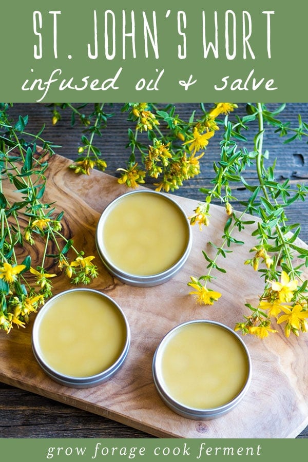 top view of st. john's wort salve on a wooden board