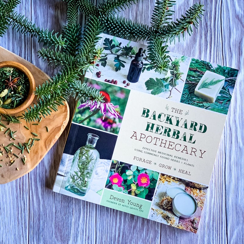the backyard herbal apothecary book