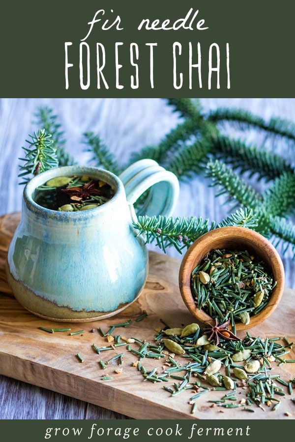 This medicinal foraged tea blend uses fir needles and chai spices to create a delicious and festive drink that is also good for respiratory wellness especially during the fall and winter flu season! a mug of fir needle chai
