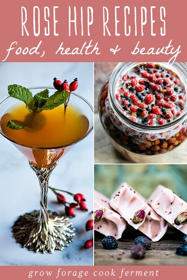 60 Rose Hip Recipes For Food Health Beauty