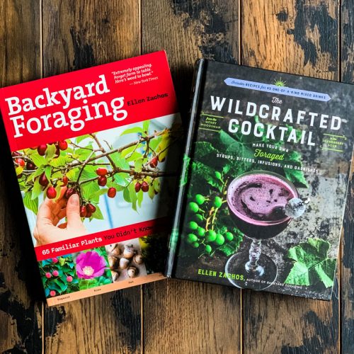 12 Best Books on Foraging and Wildcrafting