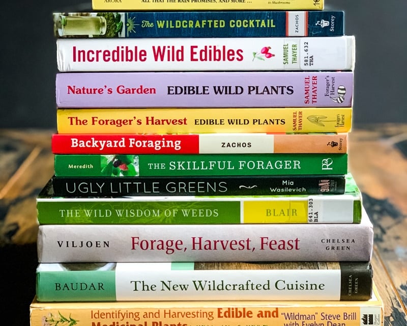 a stack of foraging guidebooks