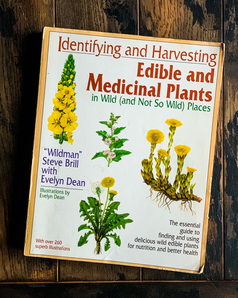 identifying and harvesting edible and medicinal plants book