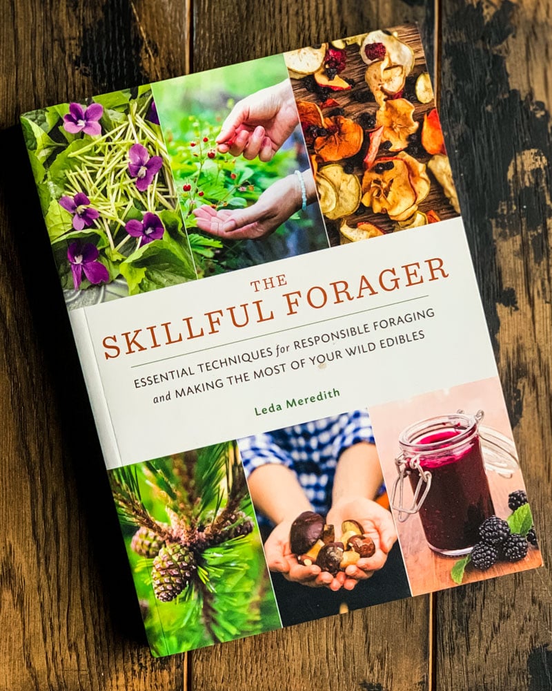 the skillful forager book