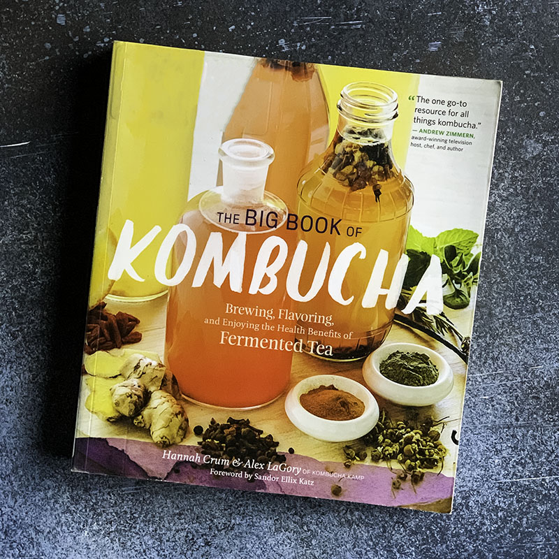 the big book of kombucha book