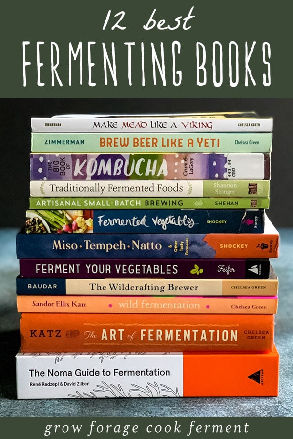 a stack of the best fermenting and homebrewing books