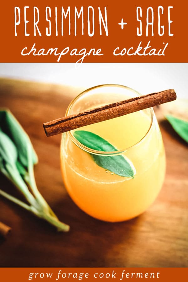 persimmon and sage champagne cocktail
