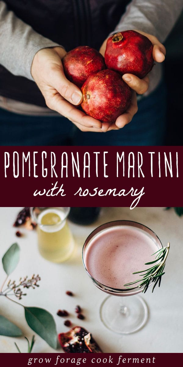 Pomegranate Martini with Rosemary Honey Syrup