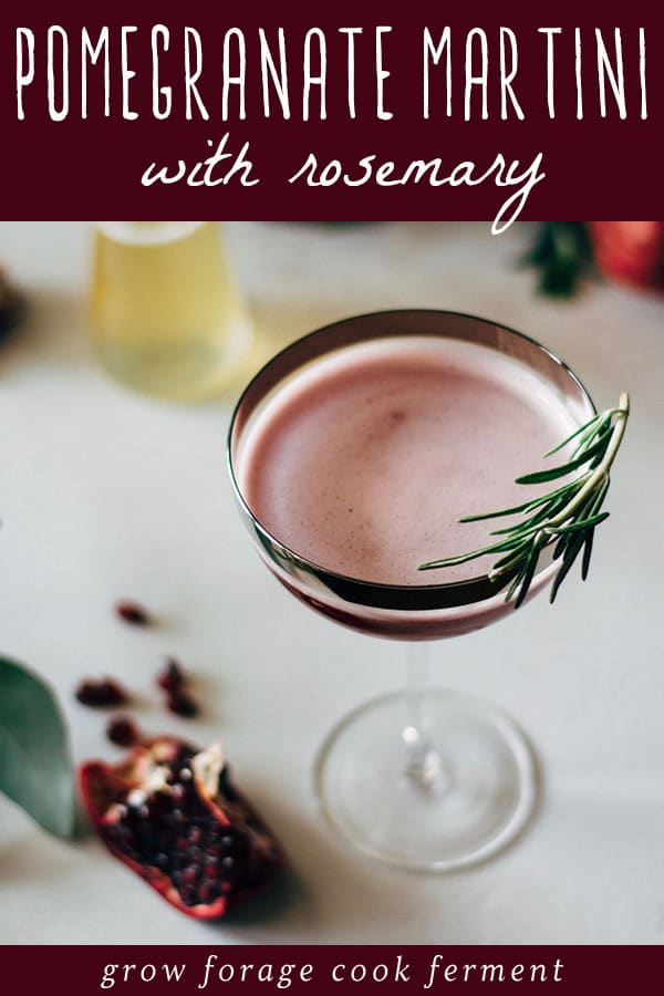 pomegranate martini with rosemary