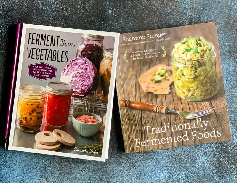 traditionally fermented foods book