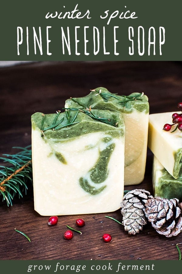 winter spice pine needle soap