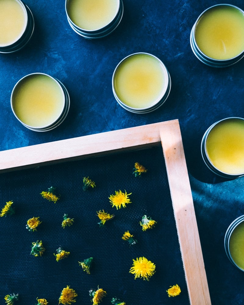 dandelions on a drying screen with tins of salve