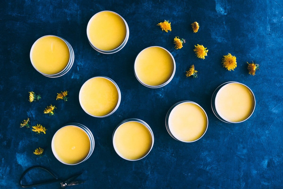 How to Make and Use Dandelion Salve-image