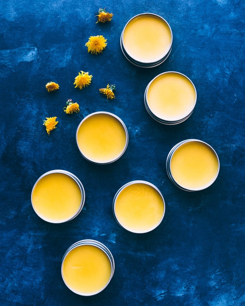 tins of dandelion salve with fresh dandelions