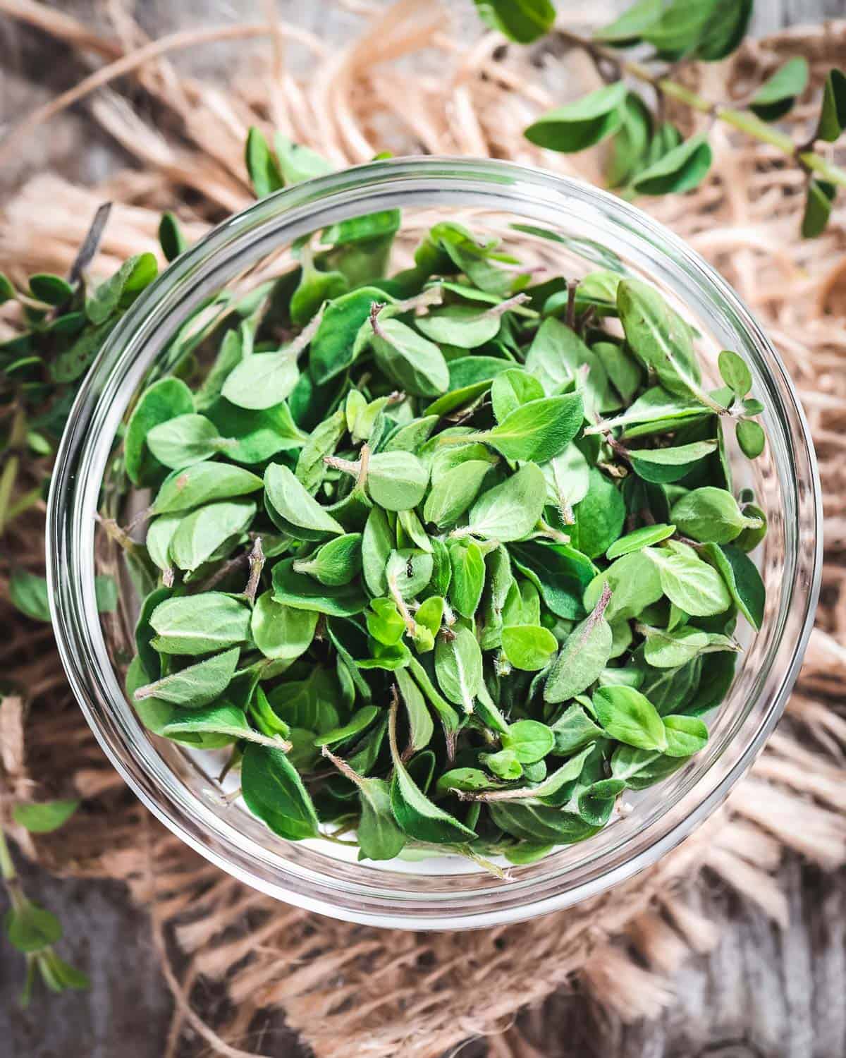 a jar of fresh oregano leaves