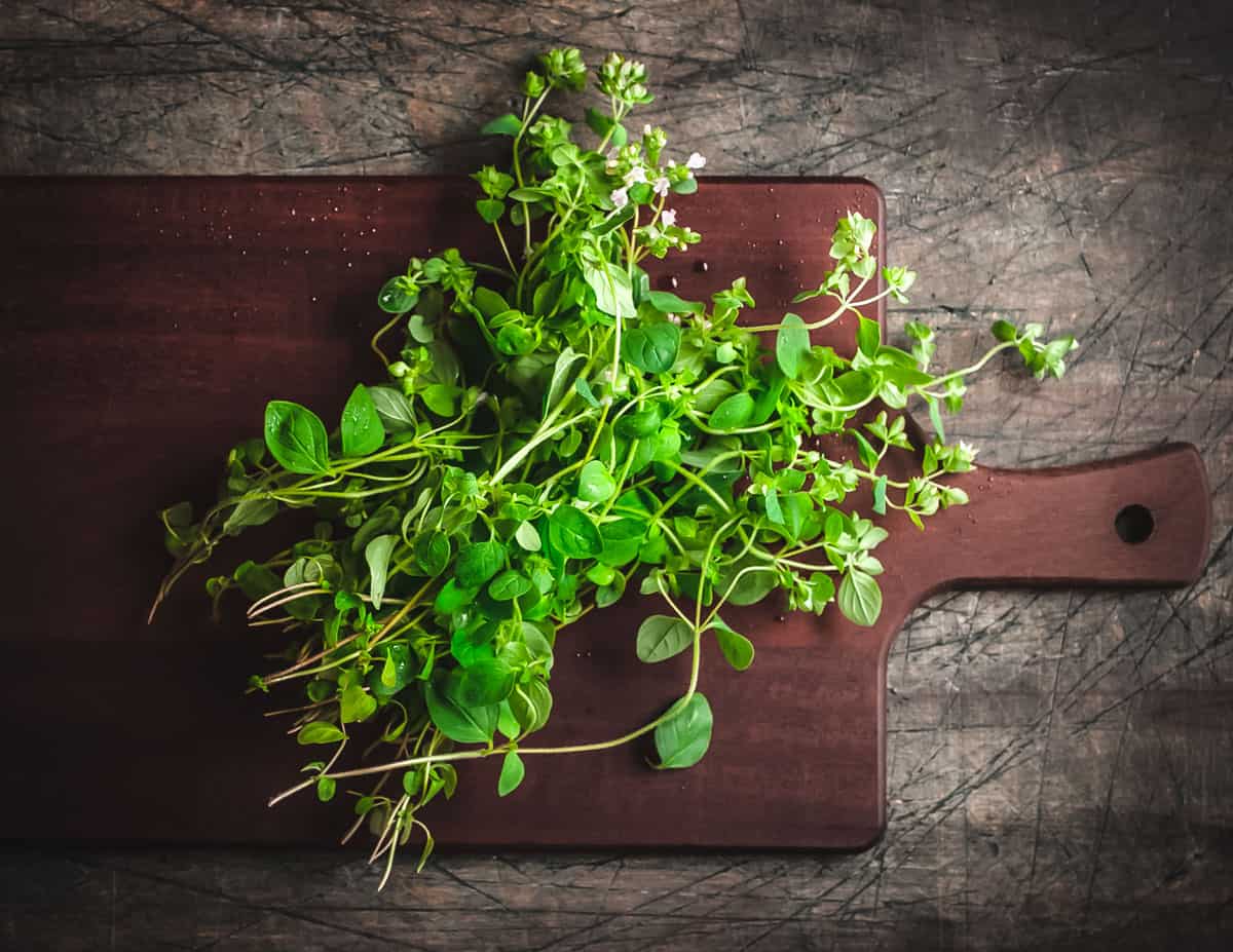 fresh oregano plant on a cutting board