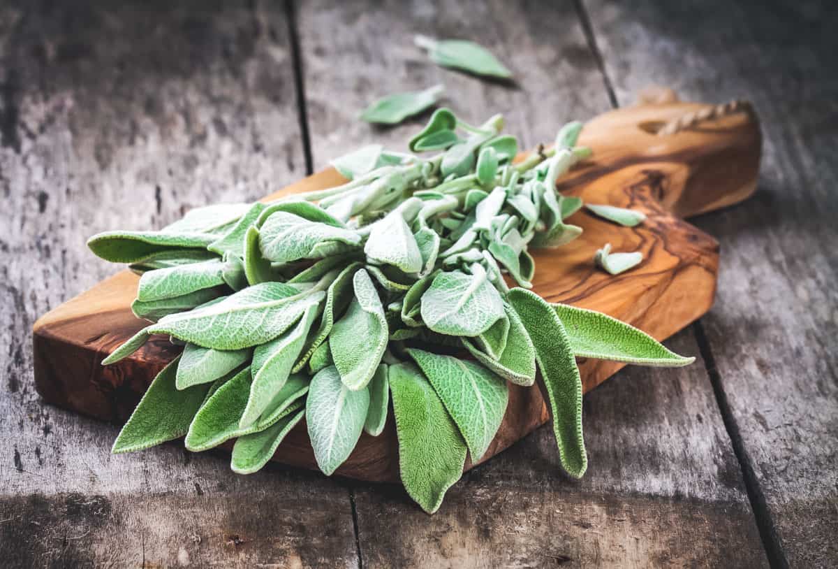 fresh sage on a cutting board