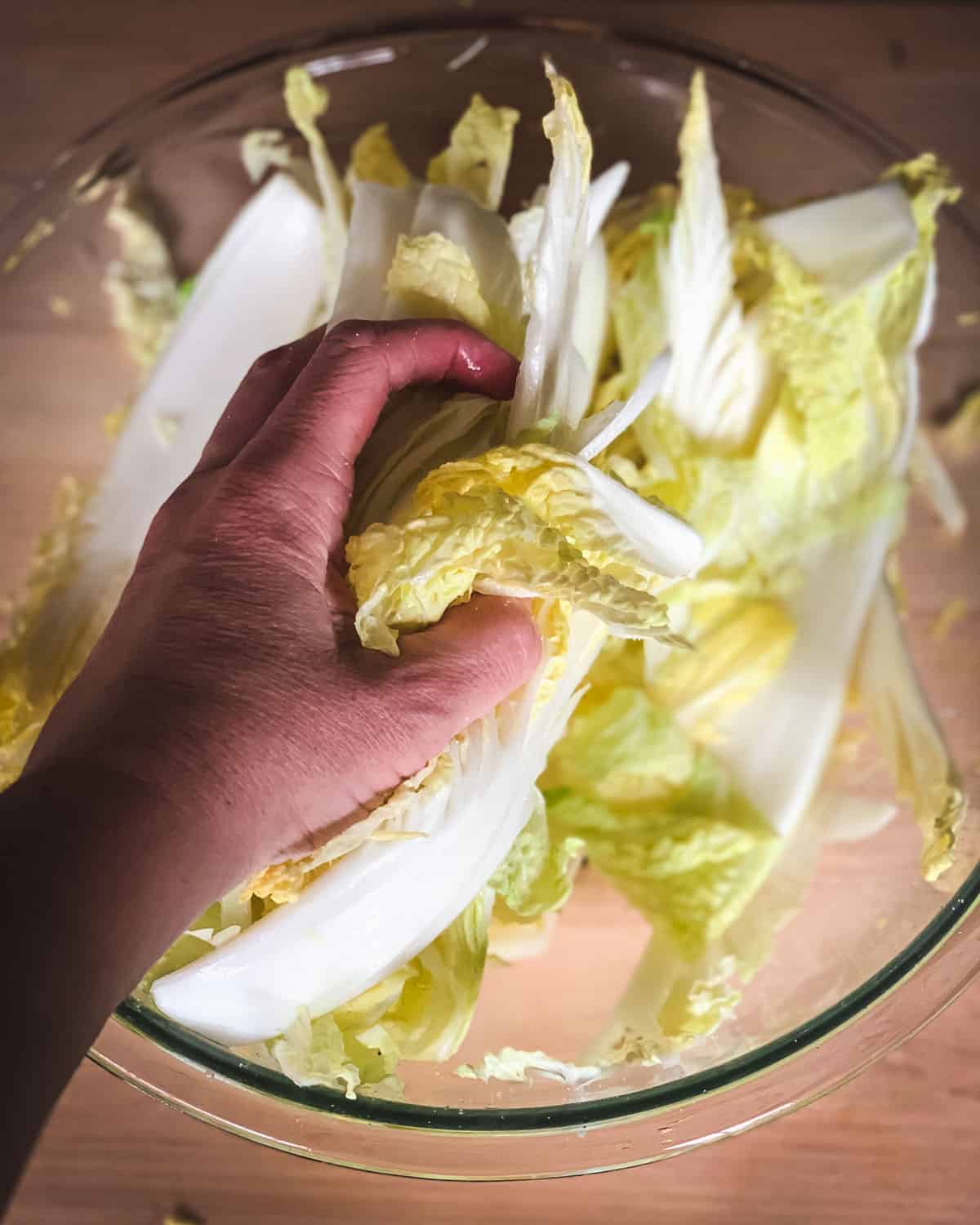 a hand massaging the salt into the cabbage