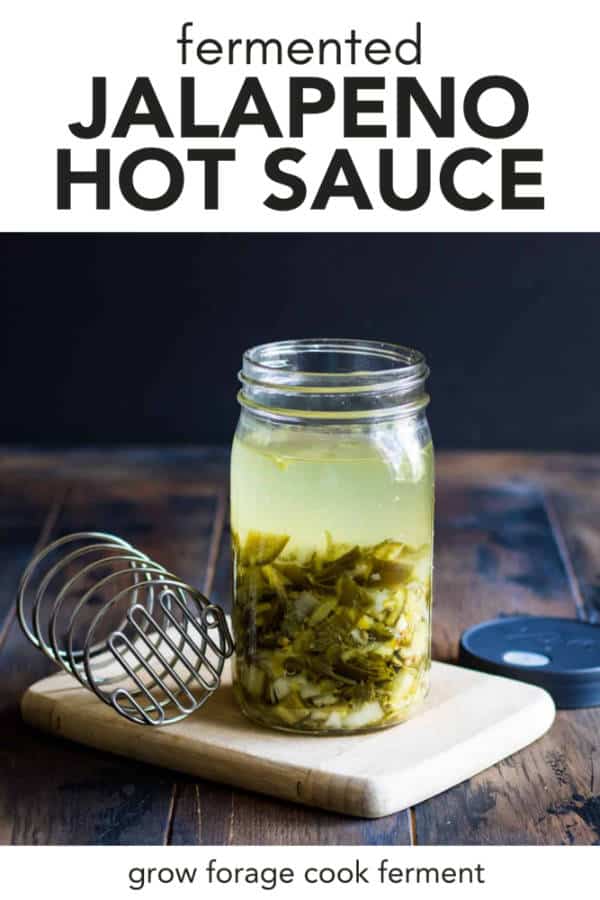 Fermented Jalapeño Hot Sauce