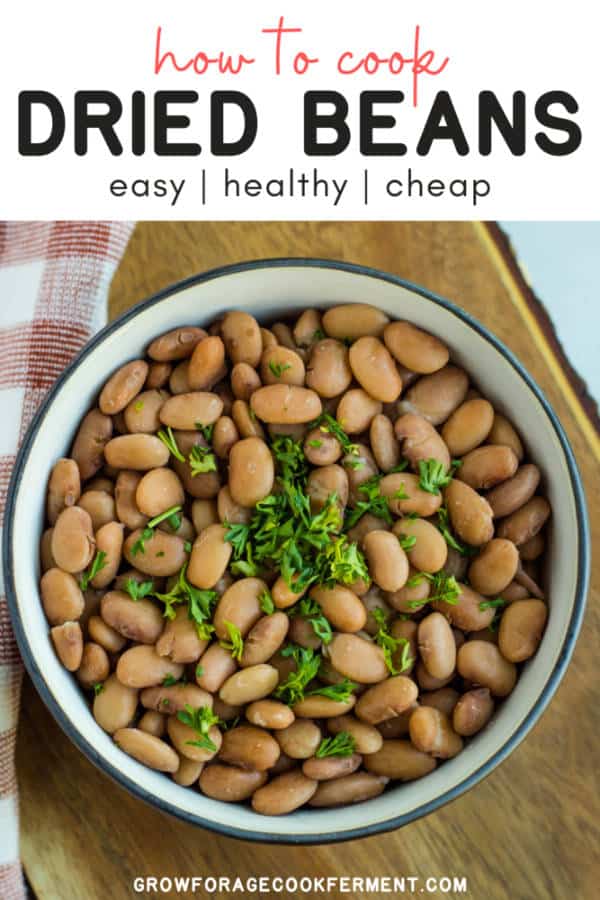 How to Cook Dried Beans Easy, Healthy, and Cheap