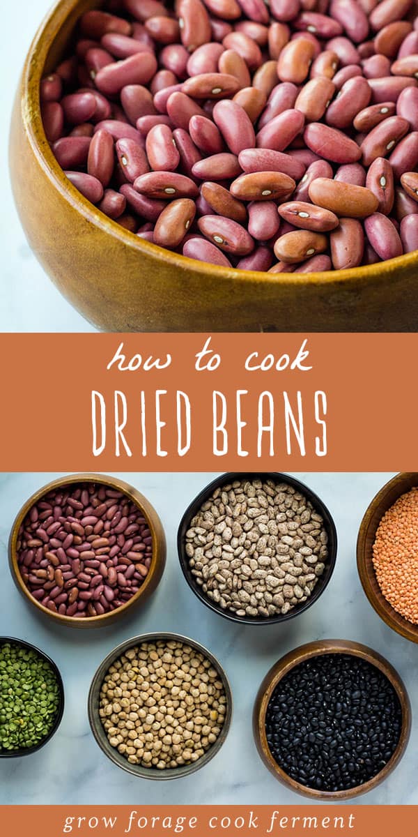 How to Cook Dried Beans Easy, Healthy, and Cheap