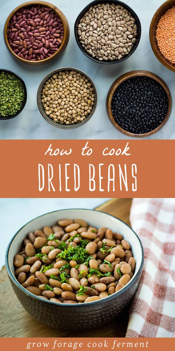 How to Cook Dried Beans Easy, Healthy, and Cheap