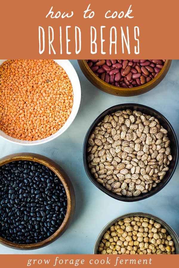 bowls of different dried beans