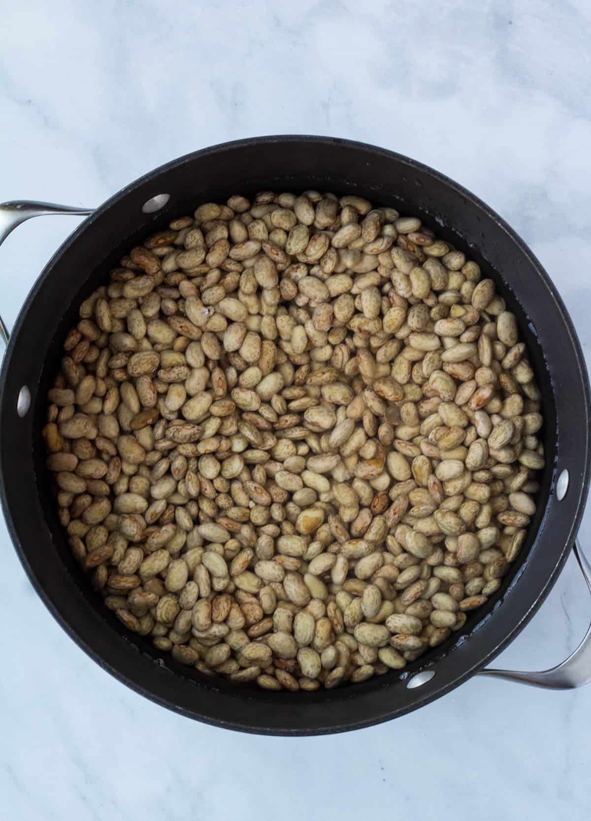 pinto beans in a pot ready to cook