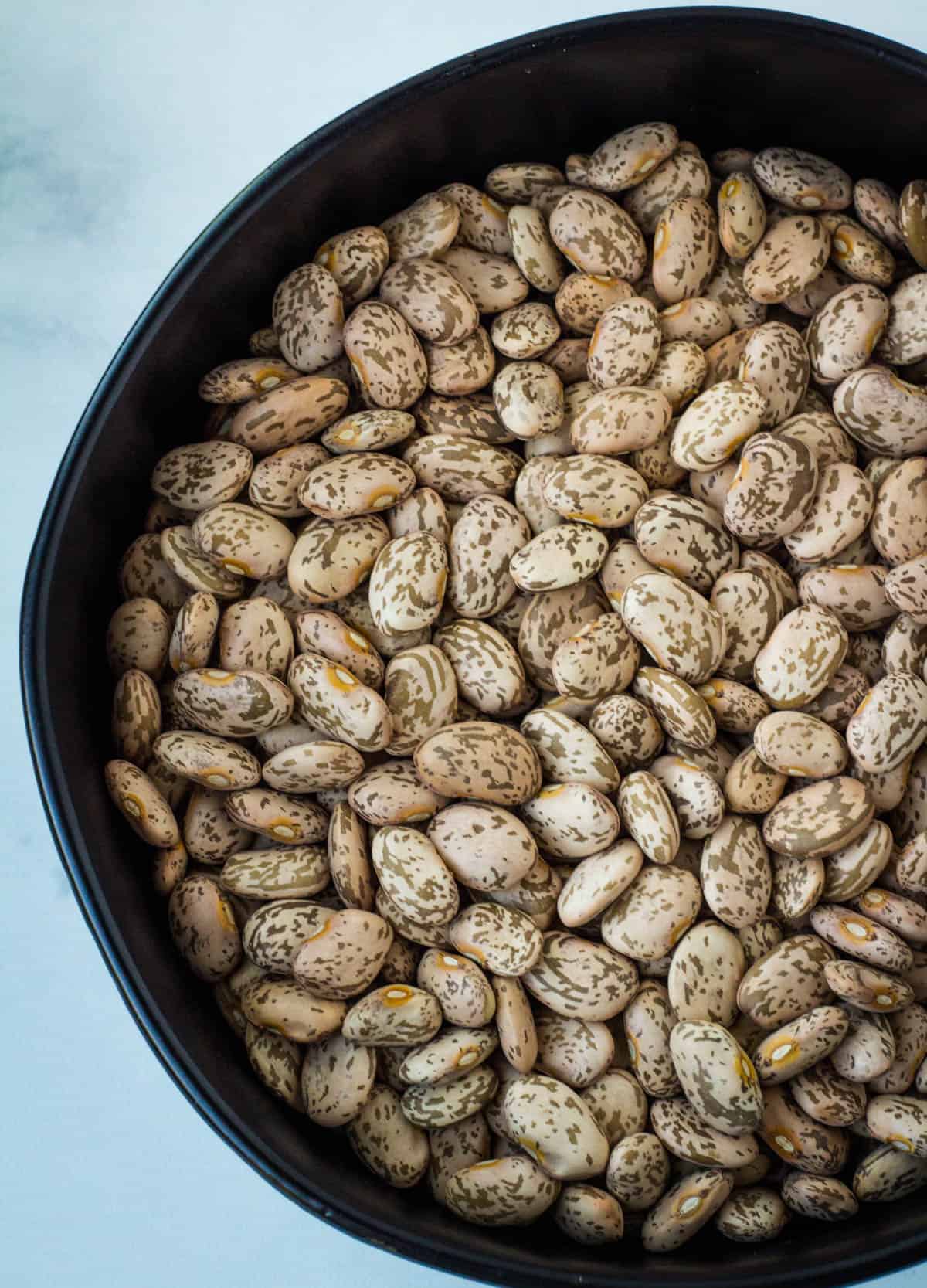 a bowl of dried pinto beans