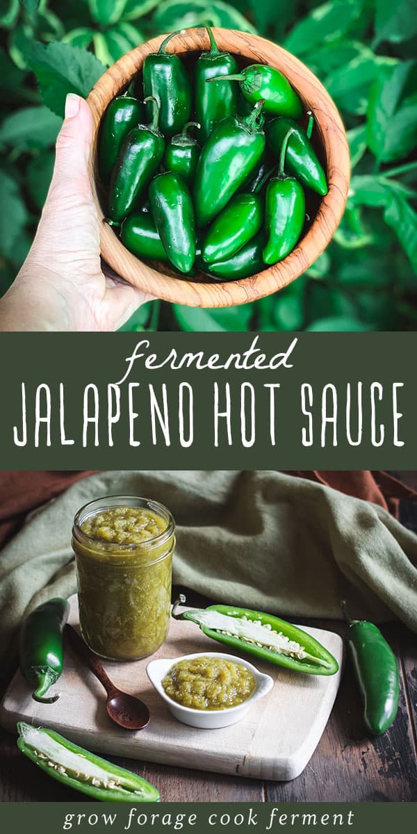 Fermented Jalapeño Hot Sauce