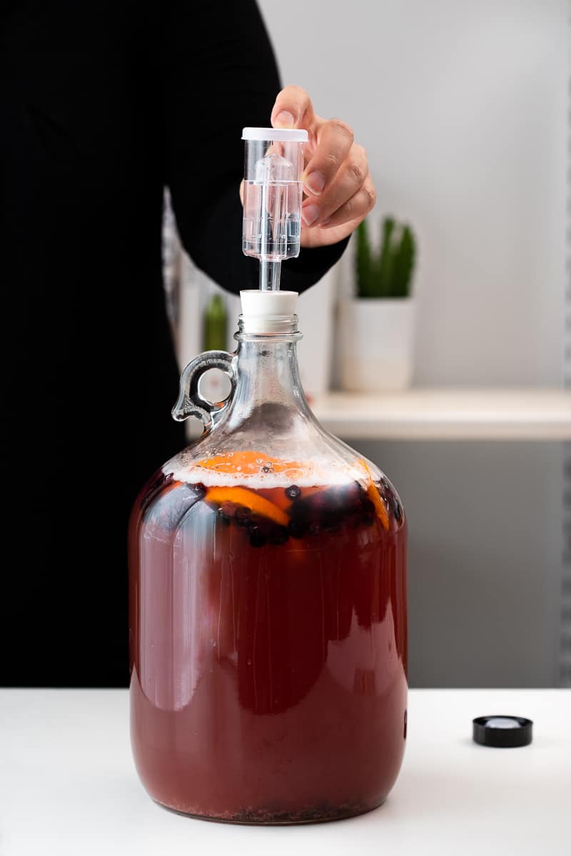 placing the airlock in the jug of mead