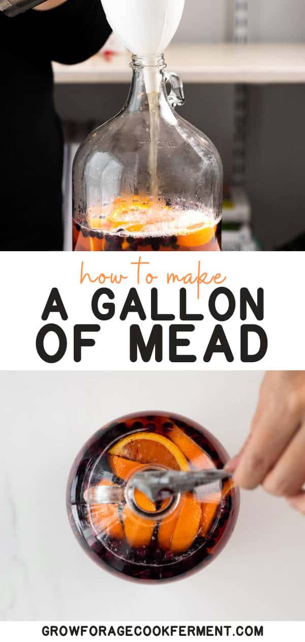 How to Make a Gallon of Mead A Simple Mead Recipe