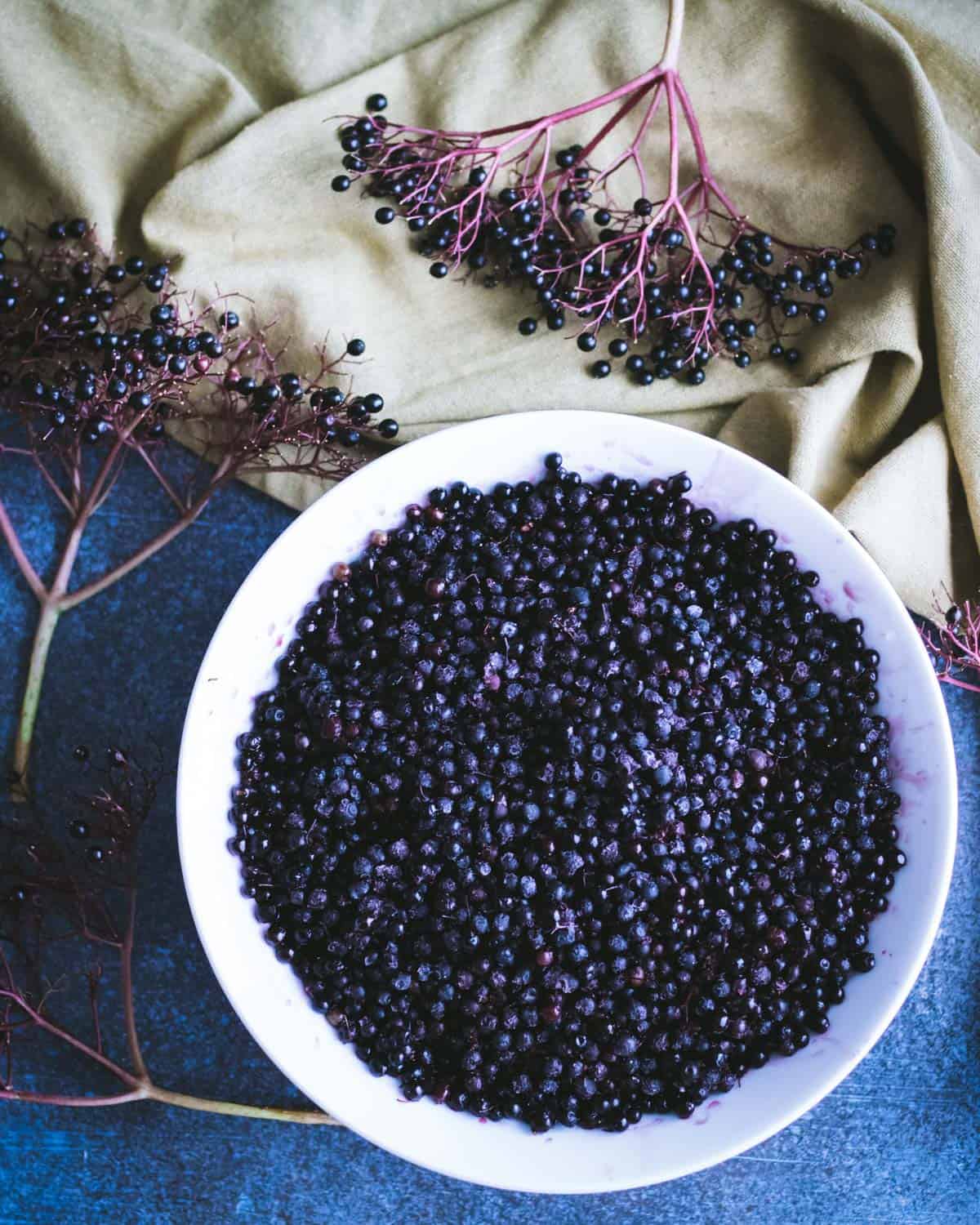 fresh elderberries in a bowl