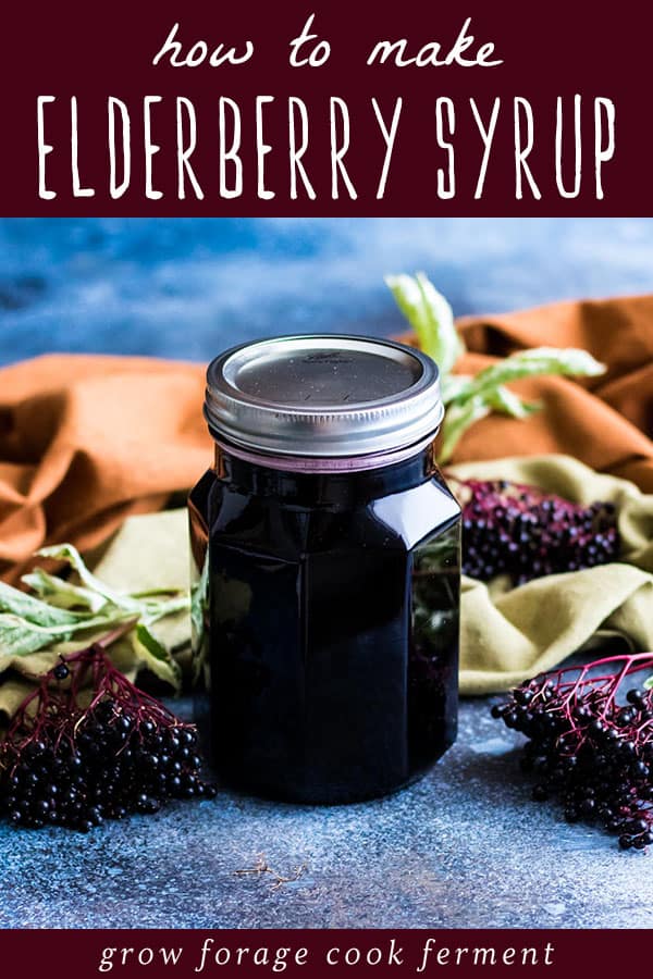 how to make elderberry syrup