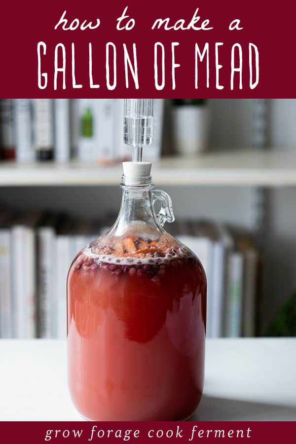 a one gallon jug of mead fermenting