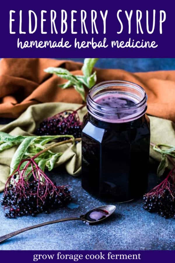 How to Make Elderberry Syrup Simple Recipe with Fresh or Dried Berries