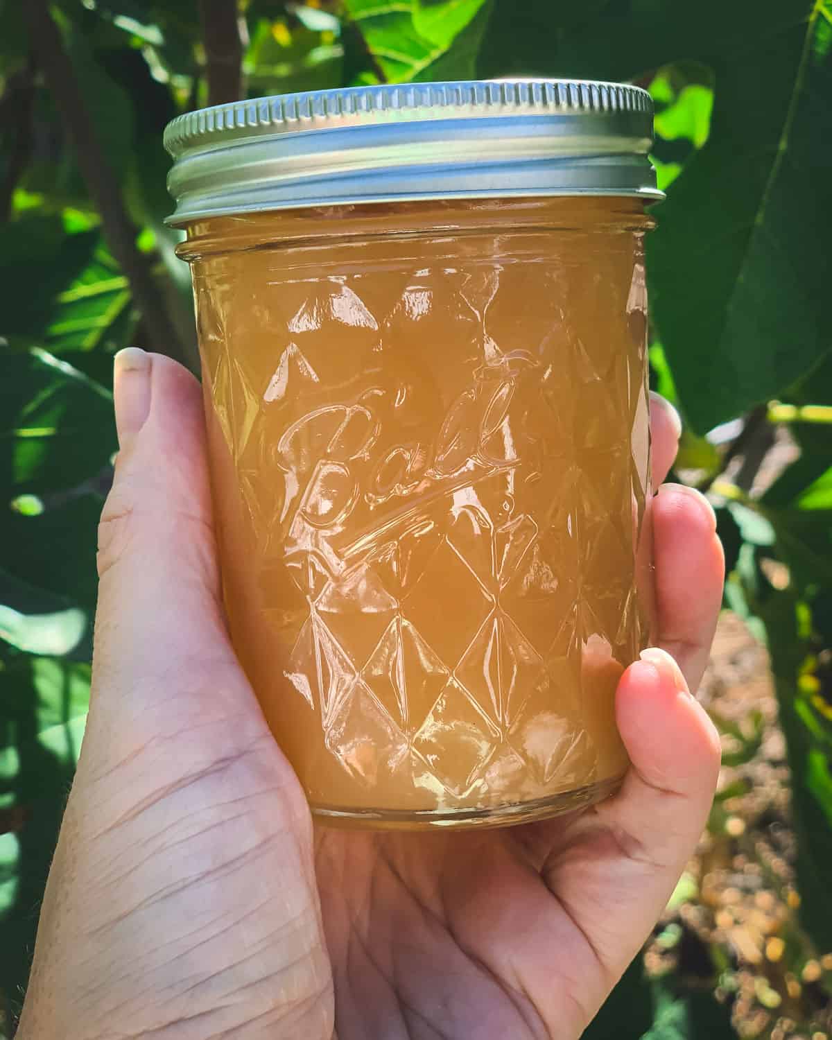 a hand holding apple jelly in a ball quilted crystal jelly jar