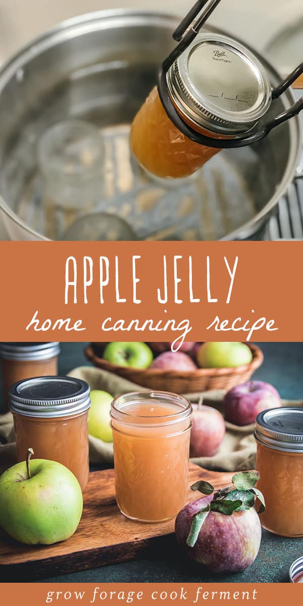 No Sugar Apple Jelly Canning Recipe (Low Sugar or Honey Option)