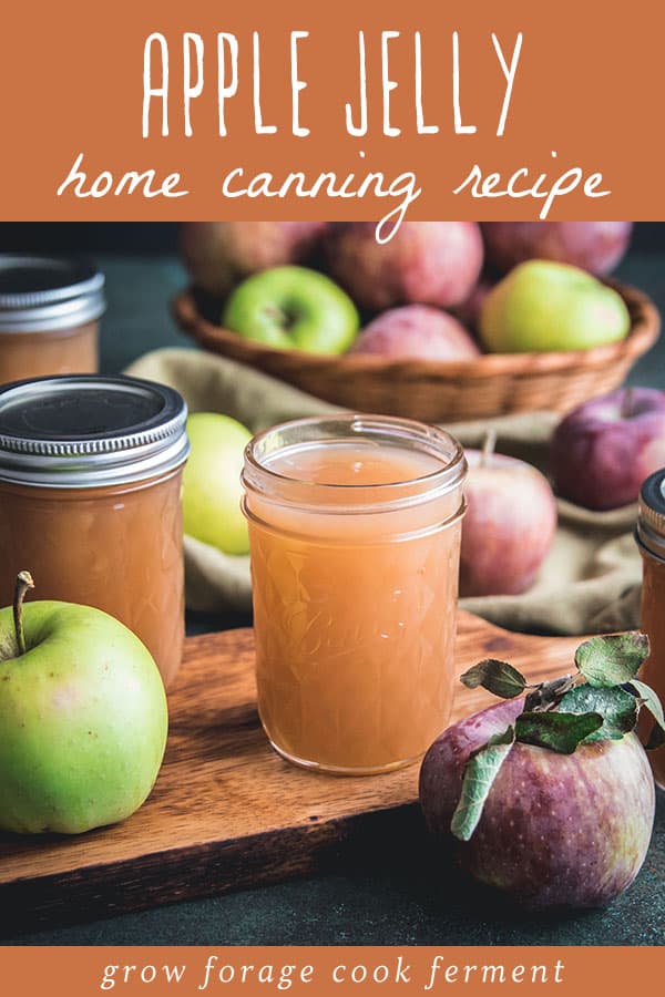 No Sugar Apple Jelly Canning Recipe (Low Sugar or Honey Option)