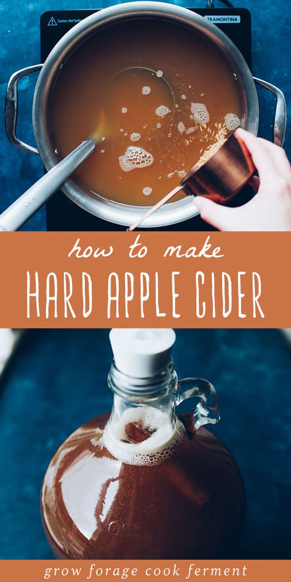 How to Make Hard Cider Homebrew it!