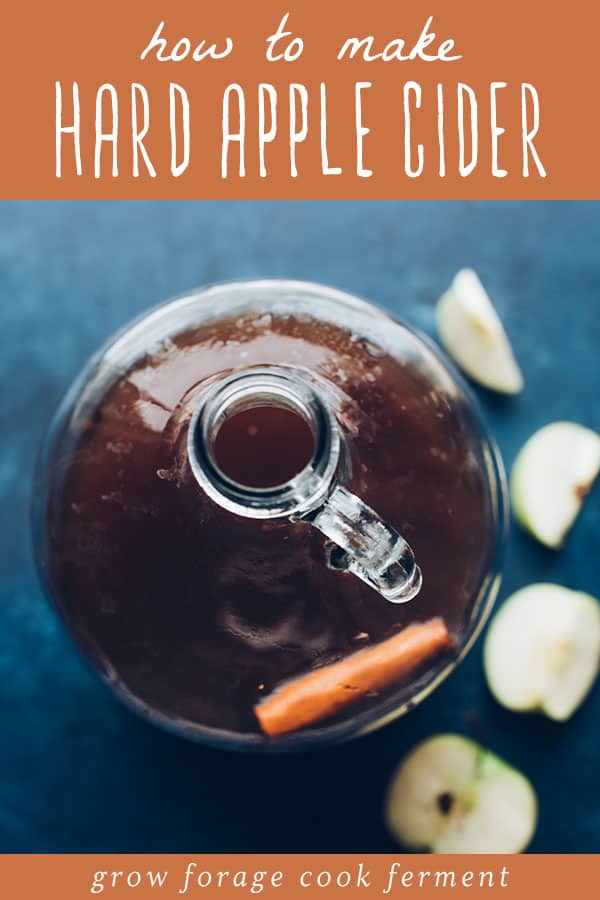 How to Make Hard Cider Homebrew it!