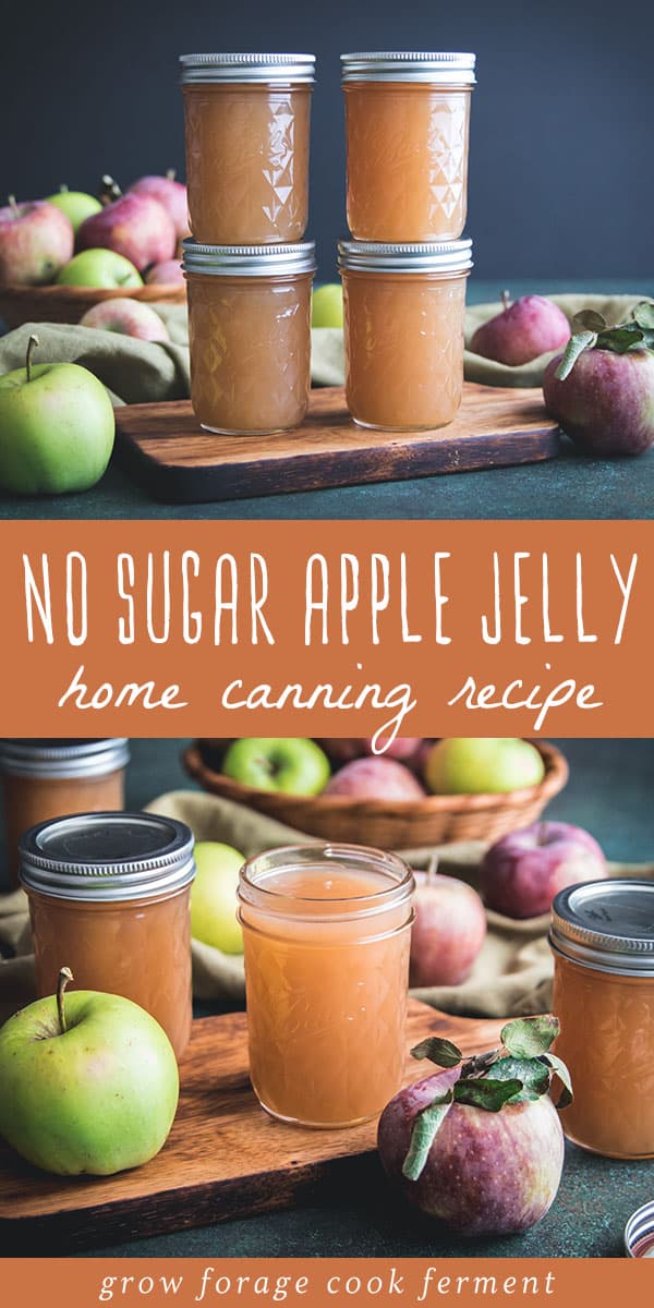 No Sugar Apple Jelly Canning Recipe Low Sugar Or Honey Option 