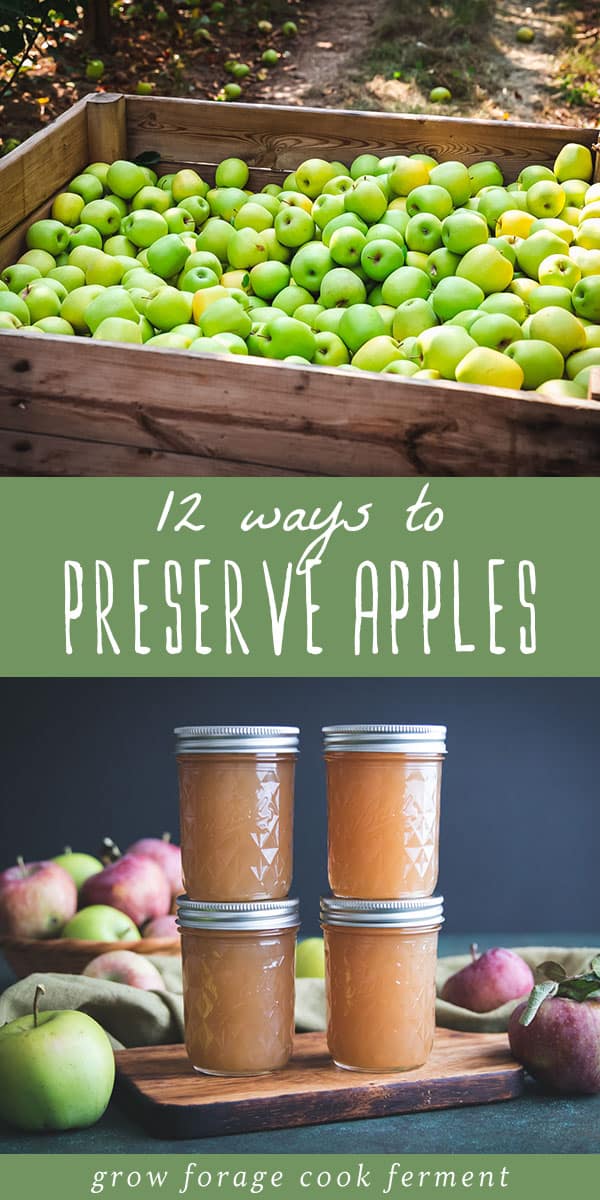 12 Ways to Preserve Apples Canning, Freezing, Drying + More!