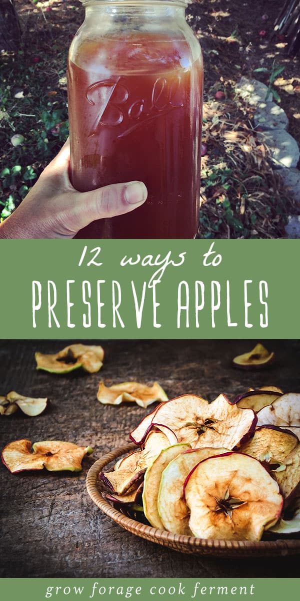 12 Ways to Preserve Apples Canning, Freezing, Drying + More!