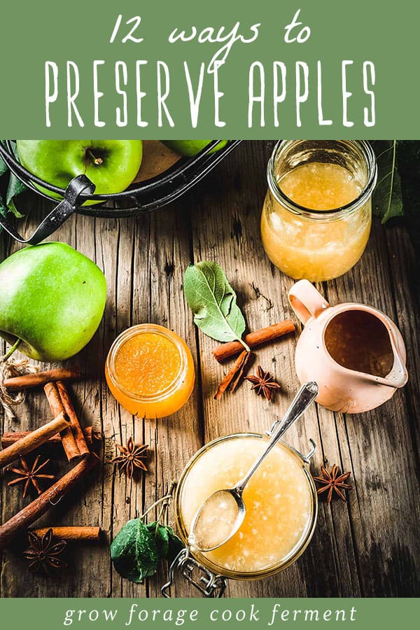 12 Ways to Preserve Apples Canning, Freezing, Drying + More!