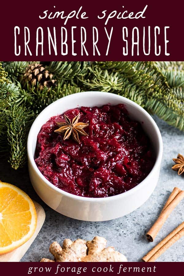a bowl of spiced cranberry sauce with a star anise garnish