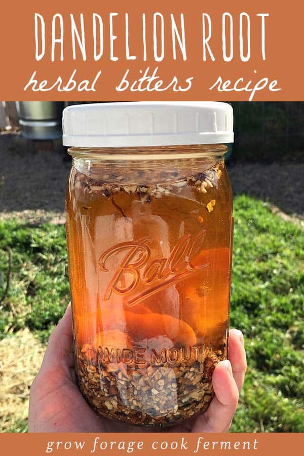 a hand holding a mason jar of herbal dandelion root bitters