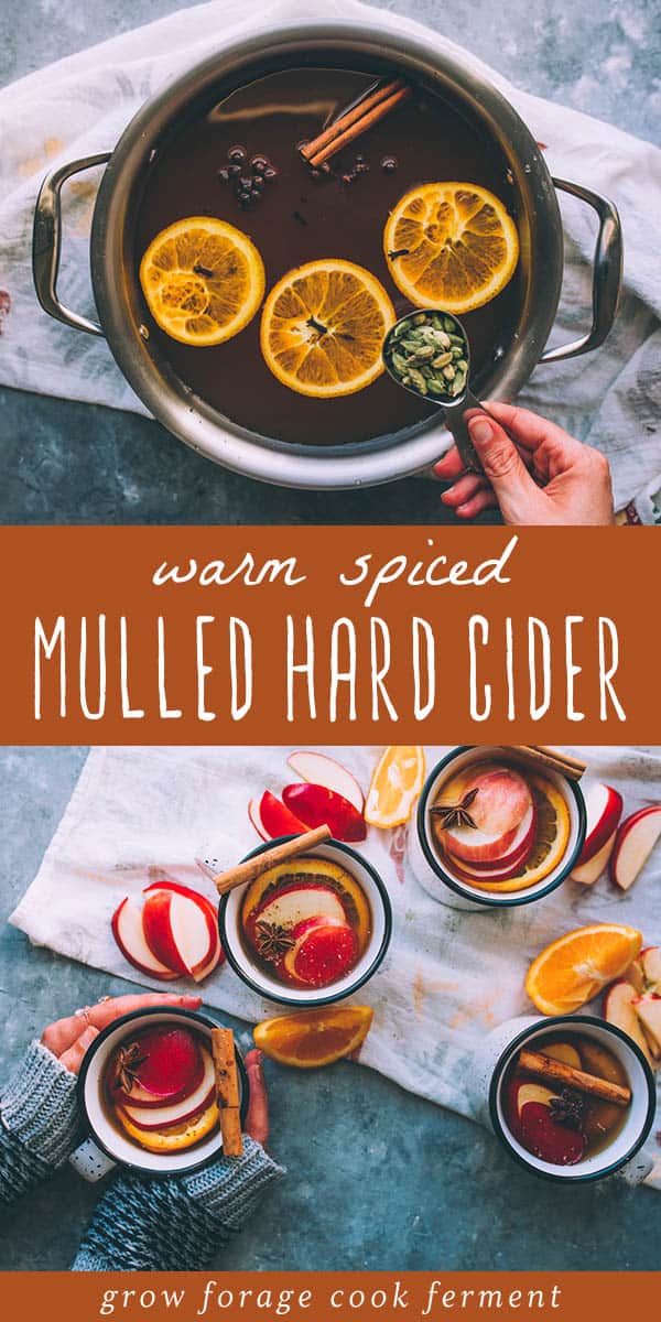 Mulled Hard Cider Warm Spiced Apple Drink for Fall
